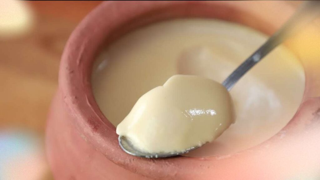Bengali Mishti Doi Recipe